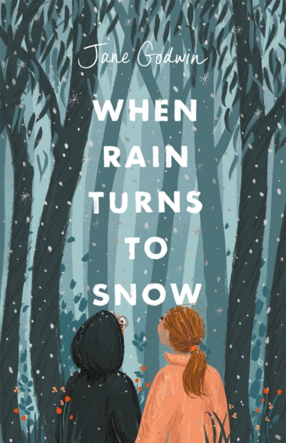 When Rain Turns To Snow By Godwin, Jane