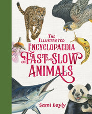 The Illustrated Encyclopaedia Of Fast A By Sami Bayly