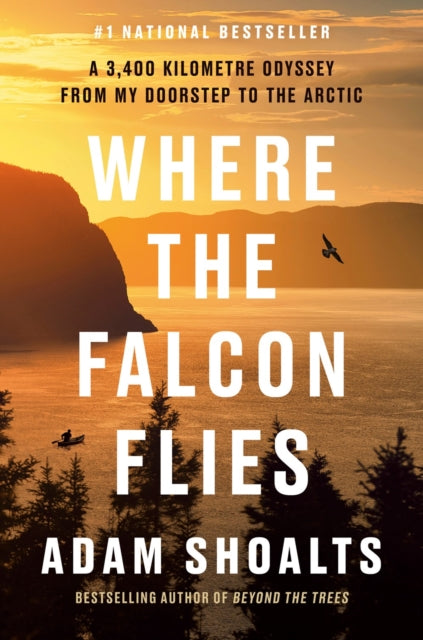 Where The Falcon Flies