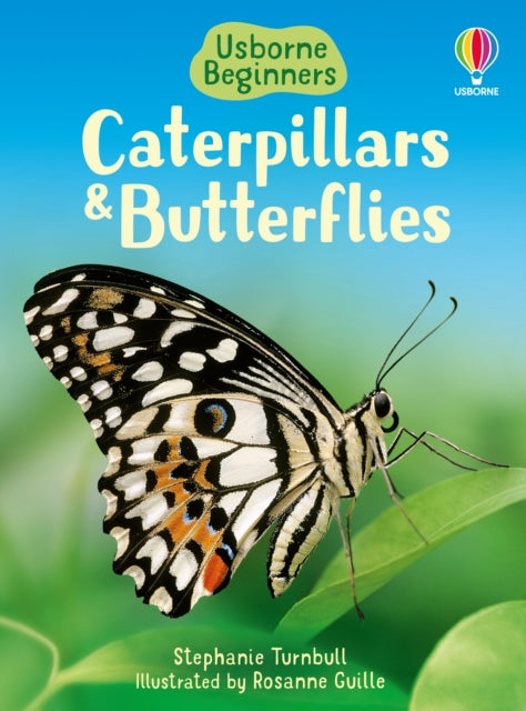 Caterpillars & Butterflies