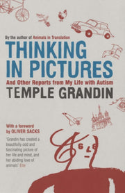 Thinking In Pictures