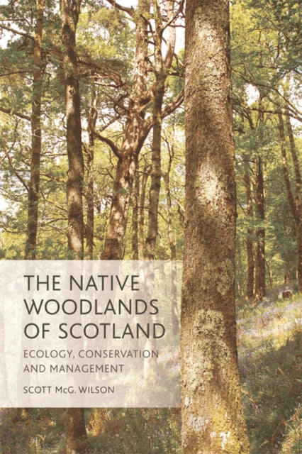 Native Woodlands Of Scotland The