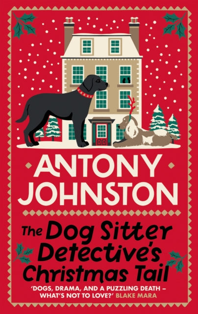 Dog Sitter Detectives Christmas Tail By Johnston, Antony