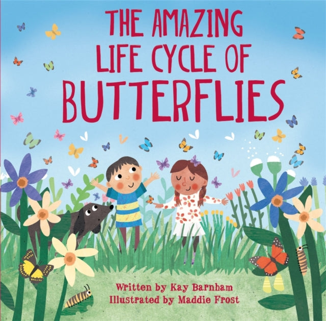 Amazing Life Cycle Of Butterflies By Barnham, Kay