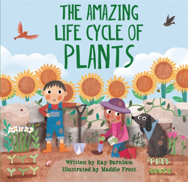 Amazing Plant Life Cycle Story