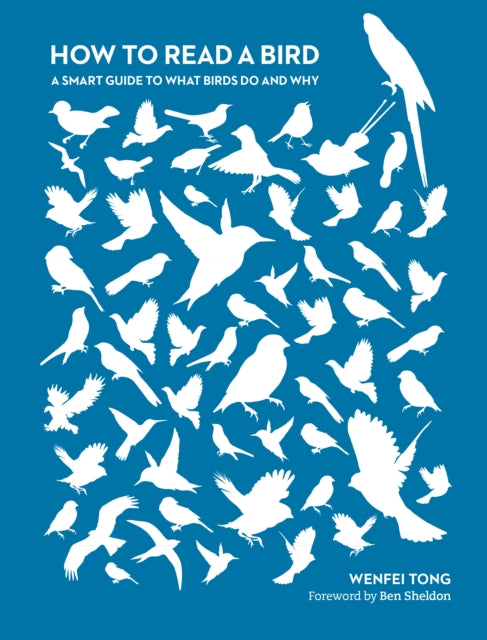 How To Read A Bird