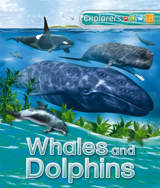 Explorers Whales And Dolphins