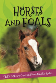 Its All About Horses And Foals