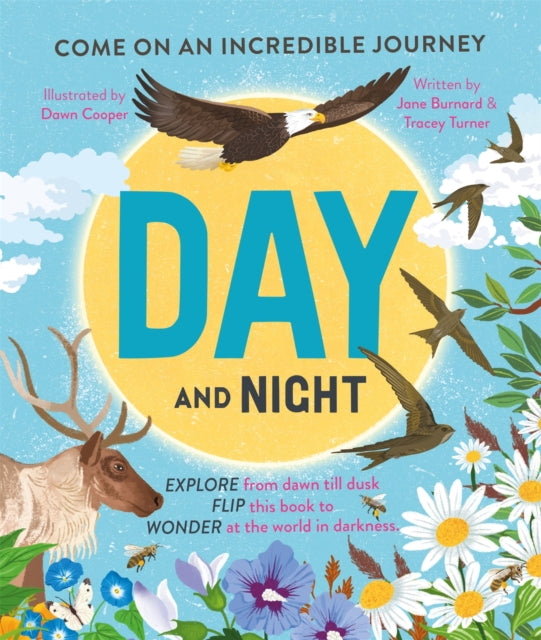Day & Night