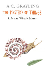 Mystery Of Things