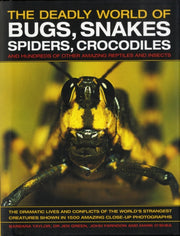 Bugs Snakes Spiders Crocodiles