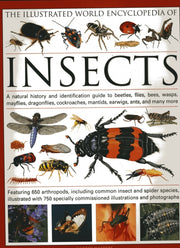 Insects
