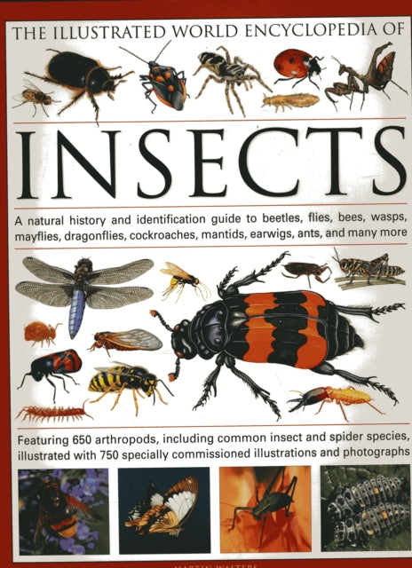 Insects