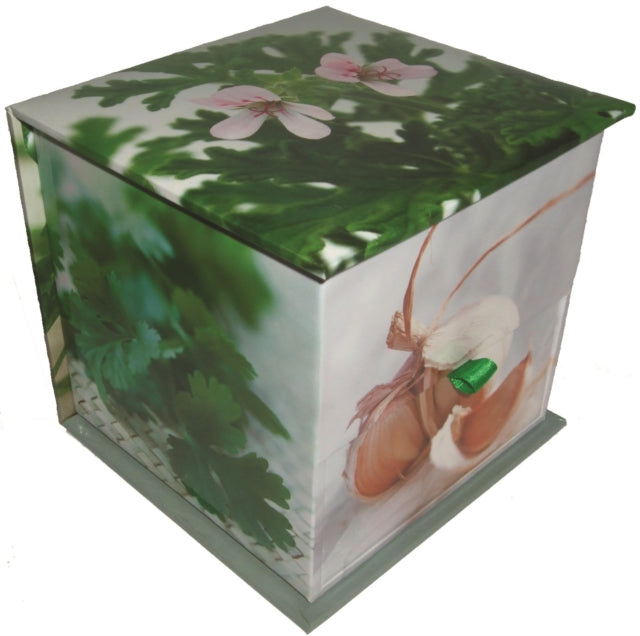 Memo Block Herbs
