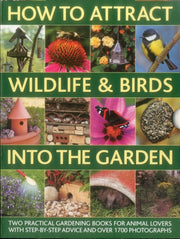 Attract Wildlife Birds Into The G
