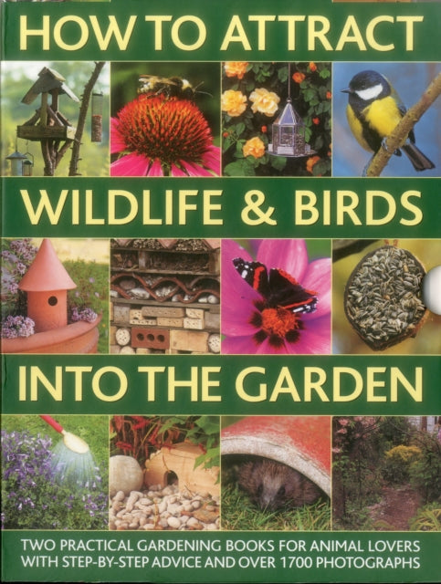 Attract Wildlife Birds Into The G
