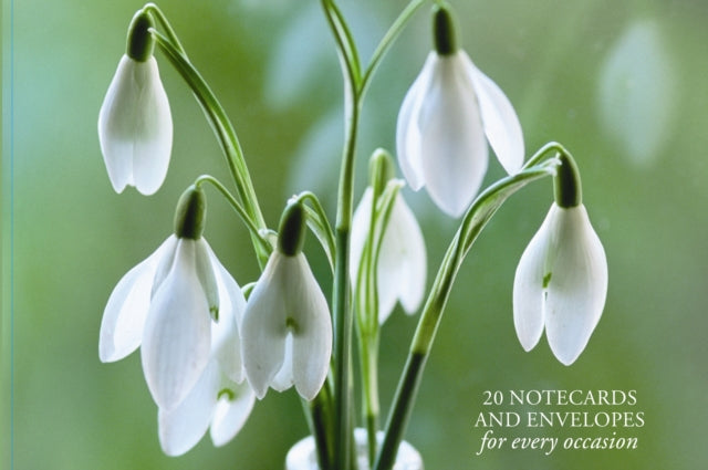Snowdrop 20 Notecards & Envelopes By Peony Press
