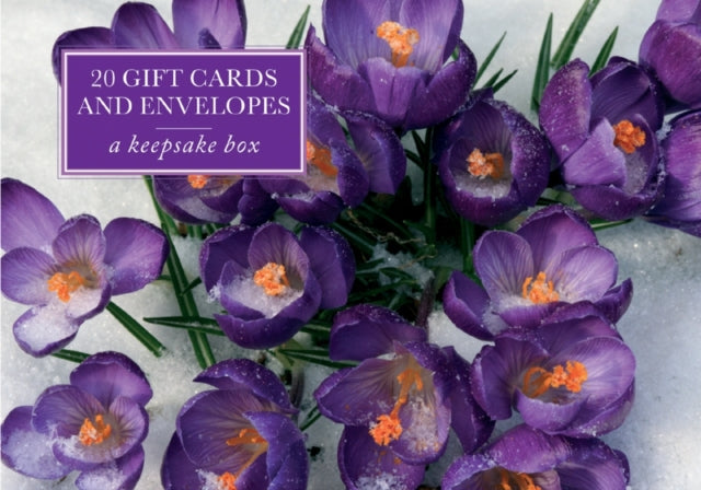 Crocus Keepsake Gift Box By Unknown