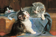 Memo Noteblock Kittens