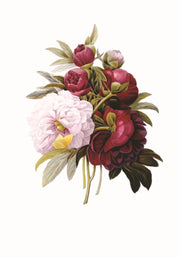 Memo Noteblock Redoute Peony