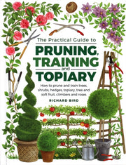 Practical Guide To Pruning Training & To