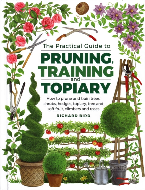 Practical Guide To Pruning Training & To