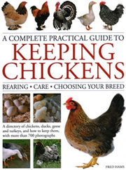 Keeping Chickens A Complete Practical Gu