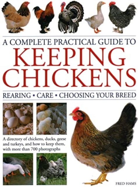 Keeping Chickens A Complete Practical Gu