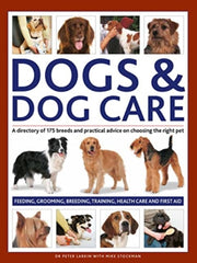Dogs Dog Care