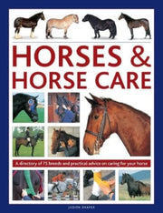 Horses Horse Care