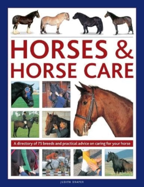 Horses Horse Care