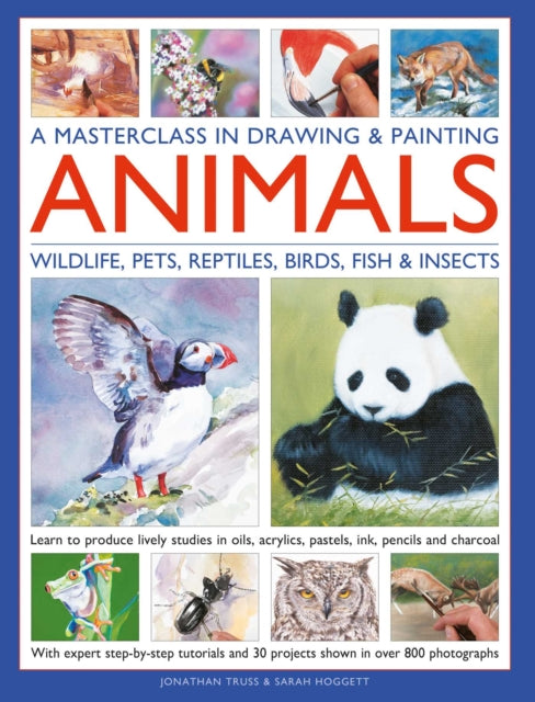 Masterclass In Drawing Painting Animals