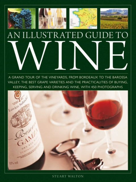 Illustrated Guide To Wine
