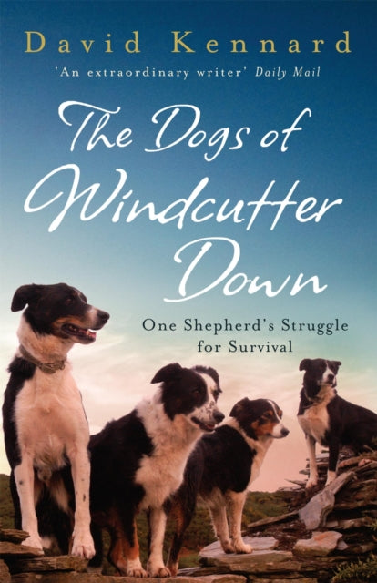Dogs Of Wincutter Down