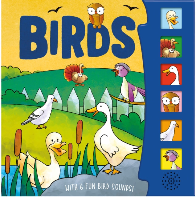 Birds Sound Board Books