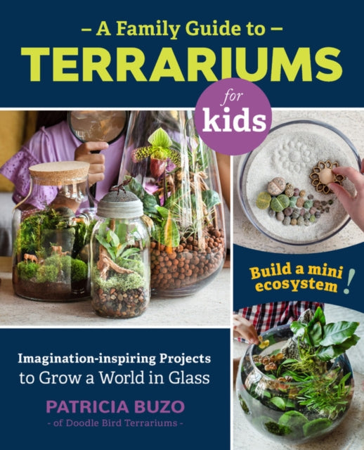 Family Guide To Terrariums For Kids