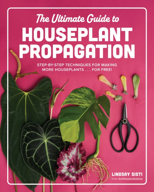 Ultimate Guide To Houseplant Propagation