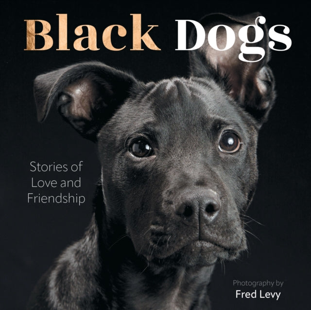 Black Dogs Stories Of Love & Friendship
