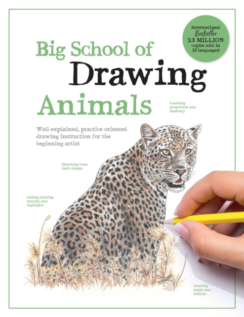 Big School Of Drawing Animals