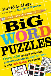 Little Book Of Big Word Puzzles By Hoyt, David