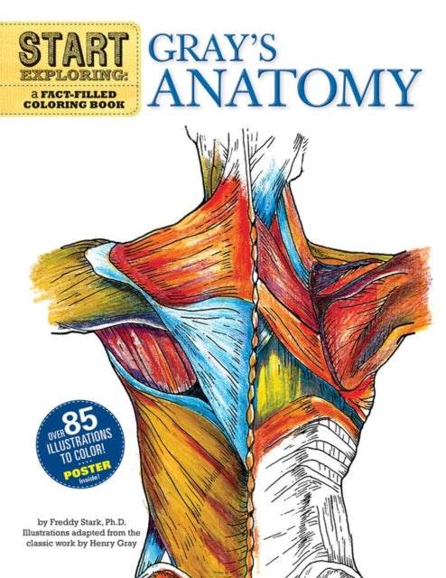 Start Exploring Grays Anatomy