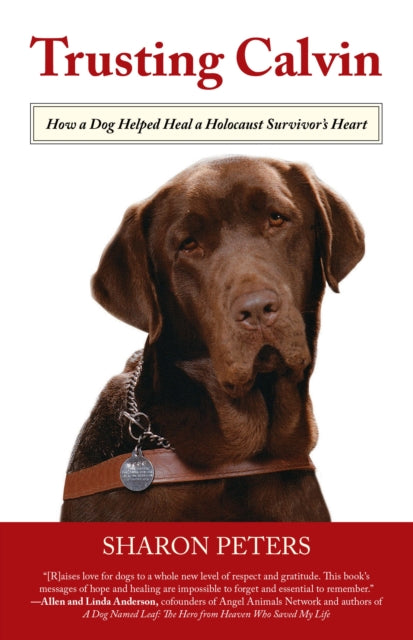 Trusting Calvin: How A Dog Helped Heal A