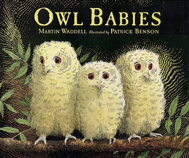 Owl Babies By Waddell, Martin