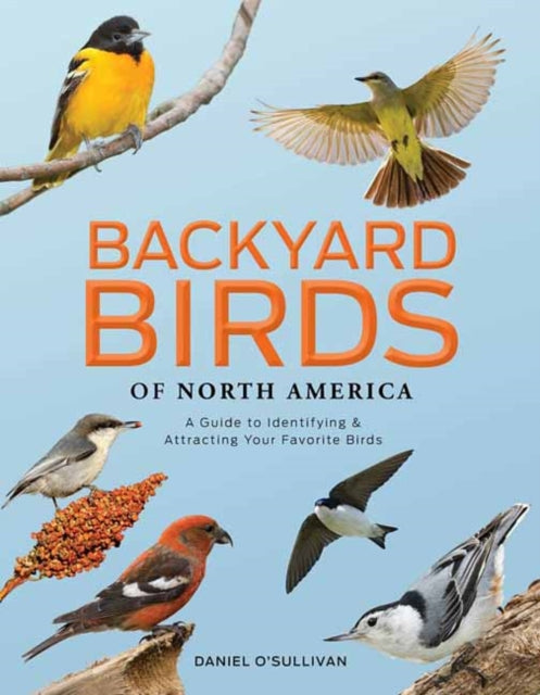 Backyard Birds Of North America By O'sullivan , Daniel