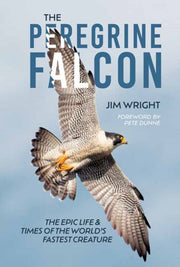 Peregrine Falcon By Wright, Jim