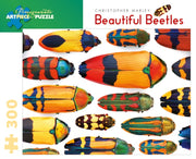 Beautiful Beetles