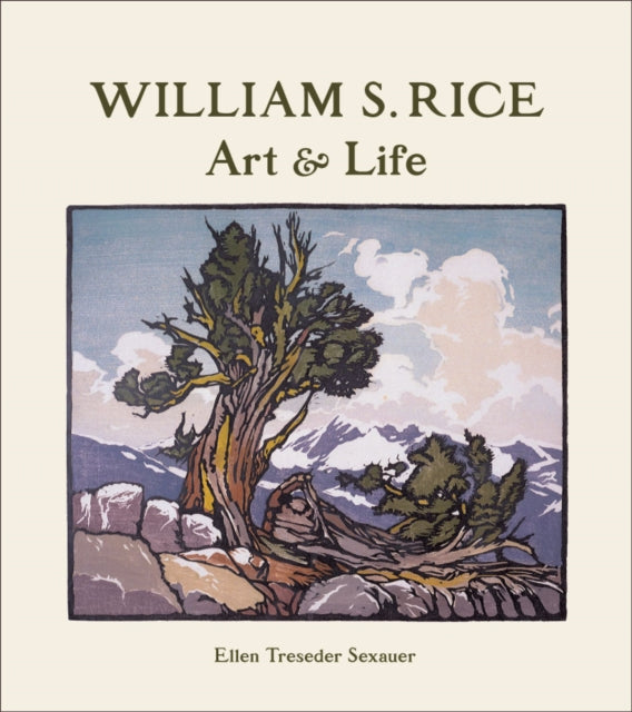 William S Rice Art & Life