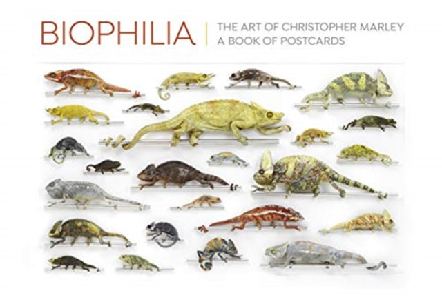 Biophilia The Art Of Christopher Marley By Marley, Christopher