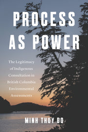 Process As Power : The Legitimacy Of Ind By Do, Minh Thuy