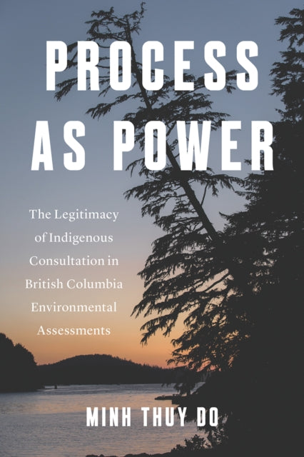 Process As Power : The Legitimacy Of Ind By Do, Minh Thuy